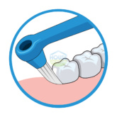 Bridgeimplant Floss Illustration Thehouseofmouth 04