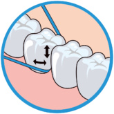 Dentaltape Illustration2 Thehouseofmouth 01