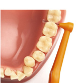 Tepeinterdentalbrushsize2angle Use Orange Thehouseofmouth