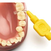 Tepeinterdentalbrushsize4 Use Thehouseofmouth