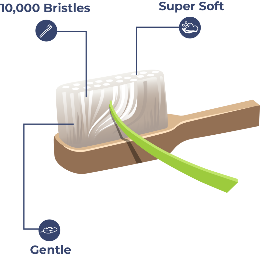 Caredent Supersoft Toothbrush Thehouseofmouth