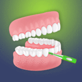 Interdental Picks