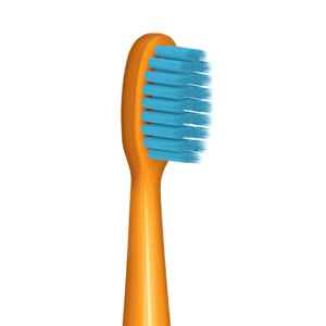 Piksters New Product 11 Curvie Ortho 2