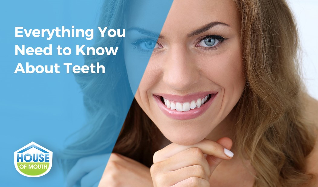 Woman Smiling Everything You Need To Know About Teeth