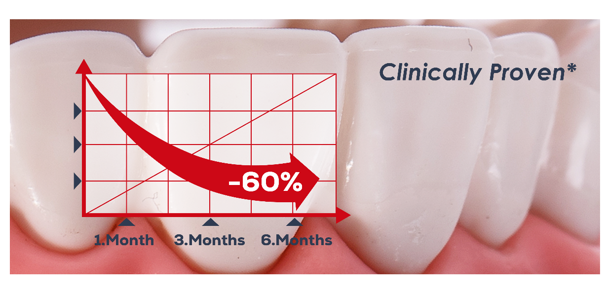 How Does Lacalut Toothpaste Work