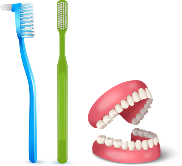 Specialised Denture Brushes