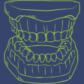 Full Denture Model Icon Thehouseofmouth